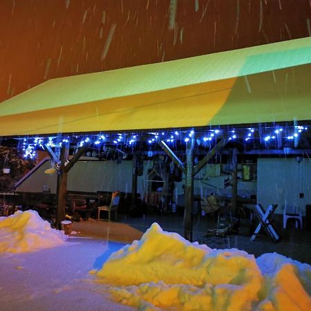 Limpedea Green House Baia Mare Zewnętrze zdjęcie