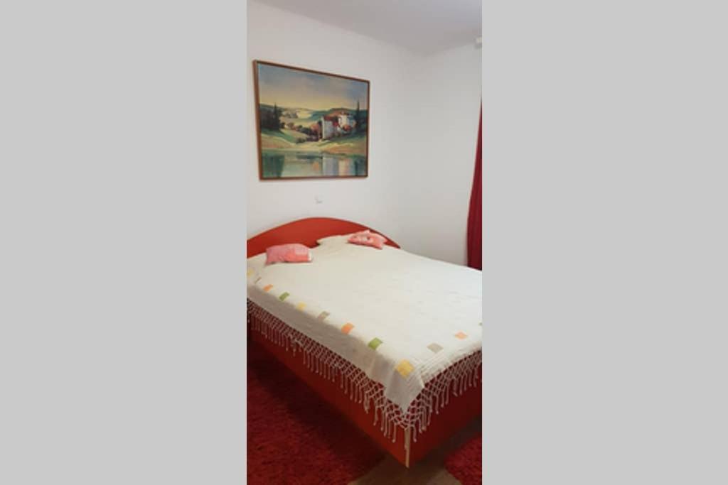 Limpedea Green House Baia Mare Zewnętrze zdjęcie