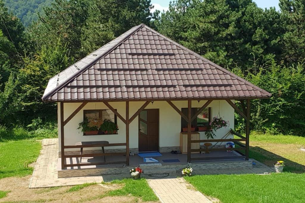 Limpedea Green House Baia Mare Zewnętrze zdjęcie