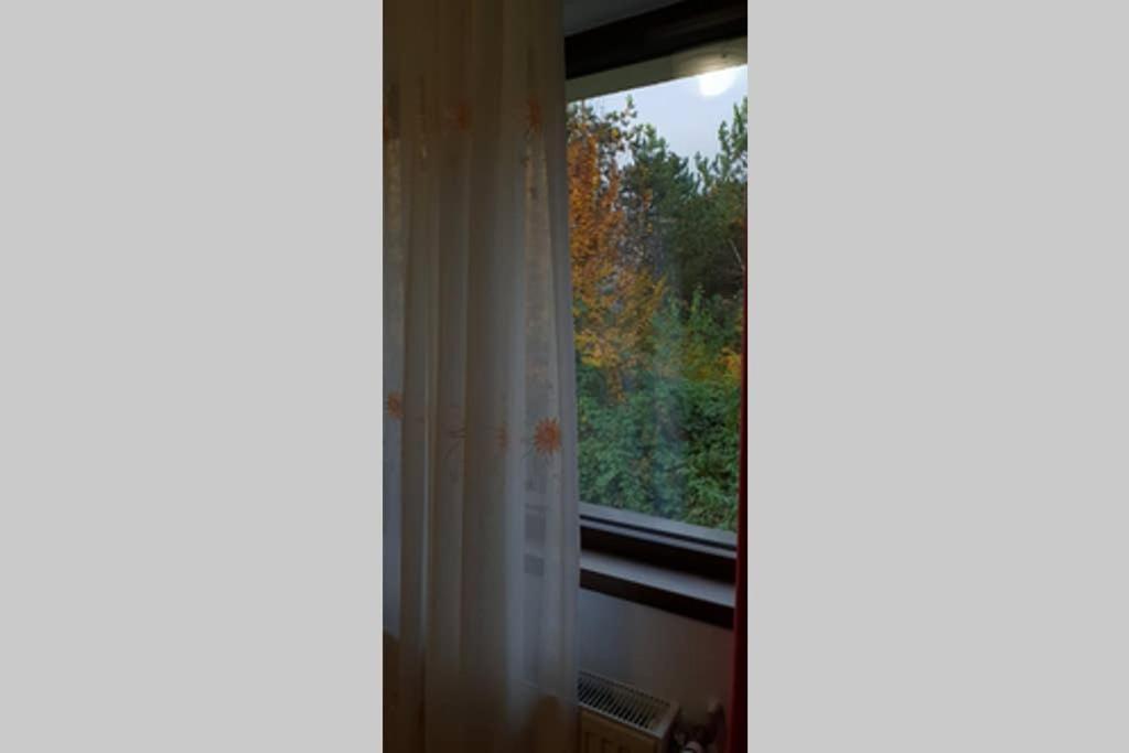 Limpedea Green House Baia Mare Zewnętrze zdjęcie