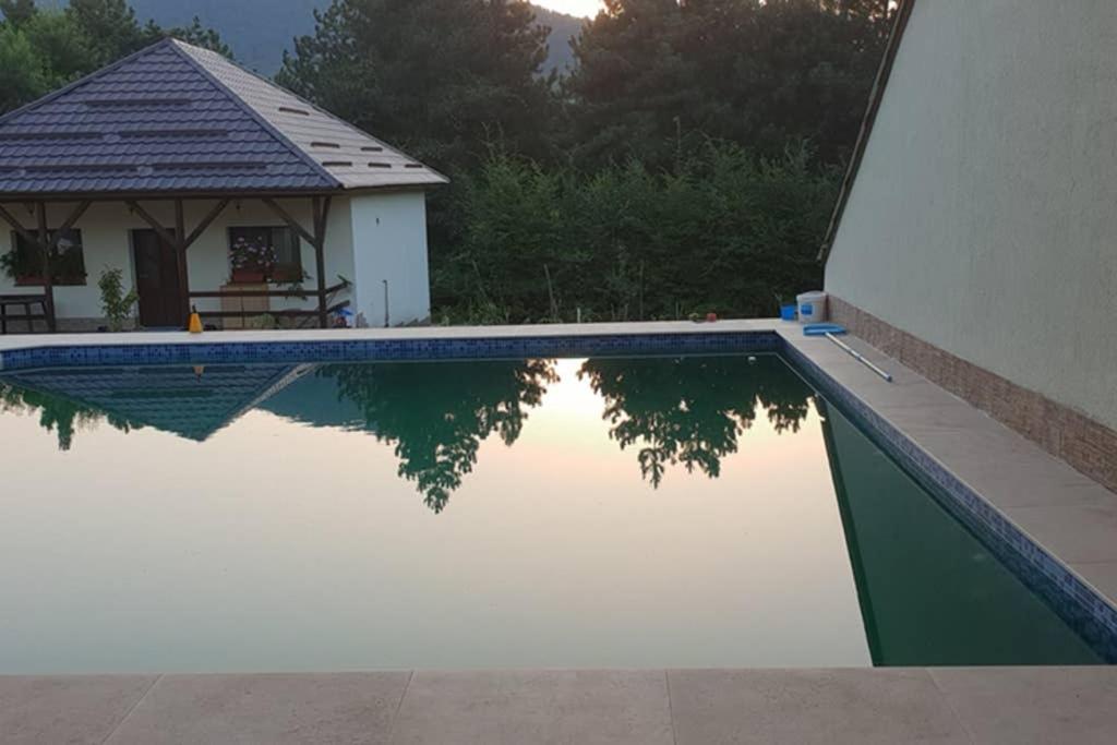 Limpedea Green House Baia Mare Zewnętrze zdjęcie