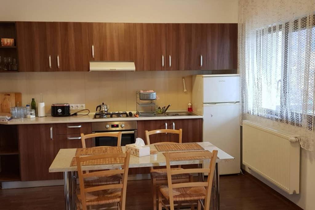 Limpedea Green House Baia Mare Zewnętrze zdjęcie