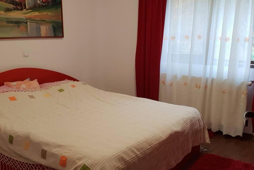 Limpedea Green House Baia Mare Zewnętrze zdjęcie