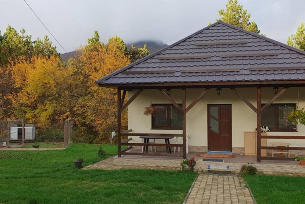 Limpedea Green House Baia Mare Zewnętrze zdjęcie
