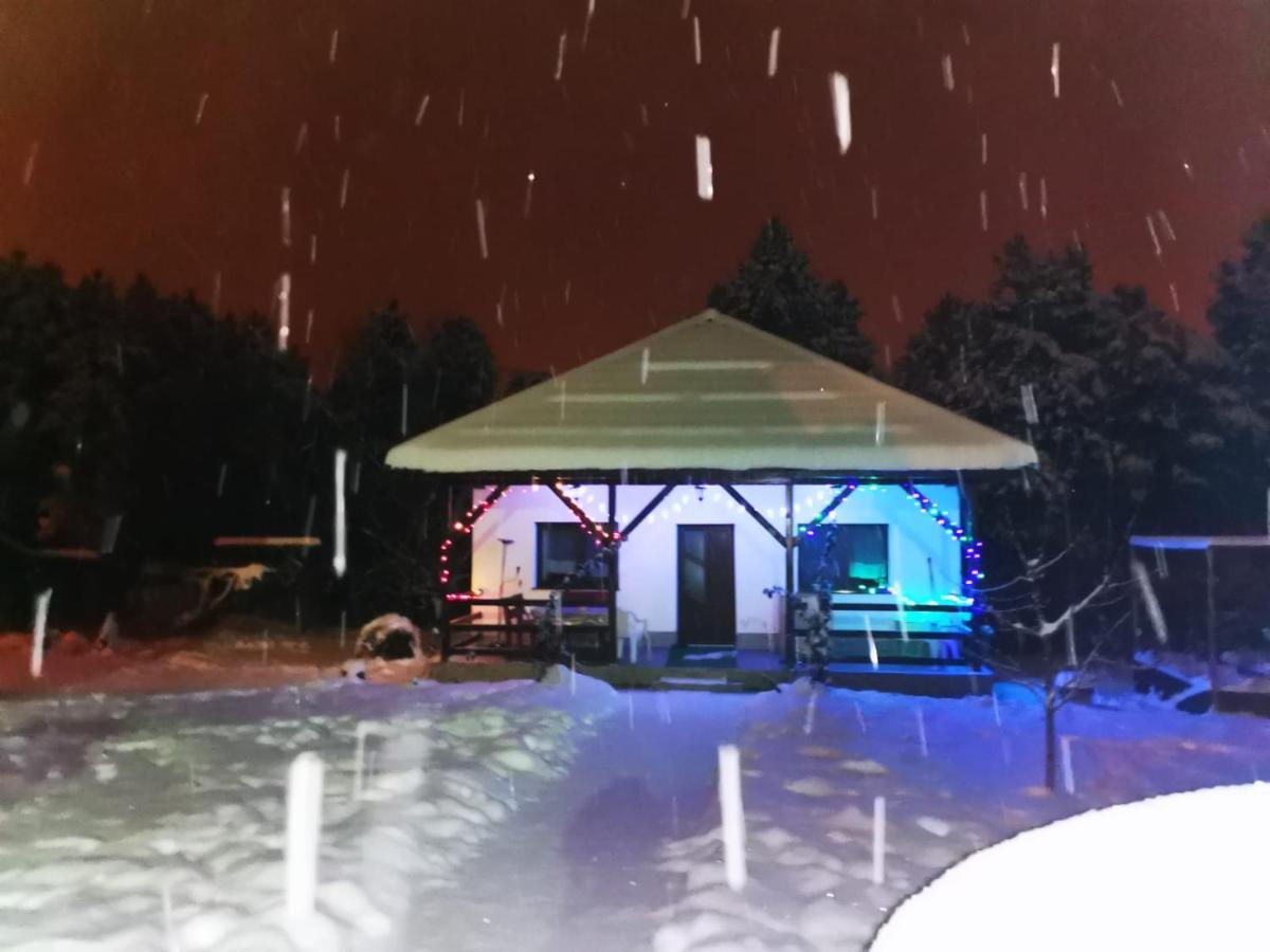 Limpedea Green House Baia Mare Zewnętrze zdjęcie