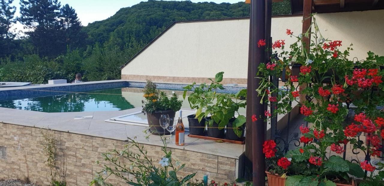 Limpedea Green House Baia Mare Zewnętrze zdjęcie